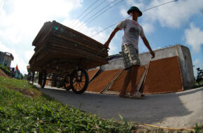 Thuốc lào Thanh Hóa hút đậm vừa khói phê con tê tê luôn