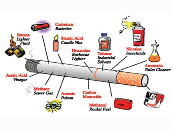 các thành phần độc hại của thuốc lá
