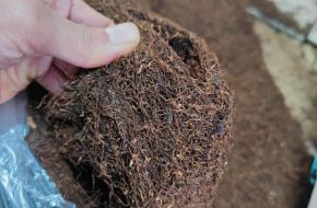 Thuốc lào Thanh Hóa Có Ngon Không? Review Chi Tiết & Địa Chỉ Mua Uy Tín