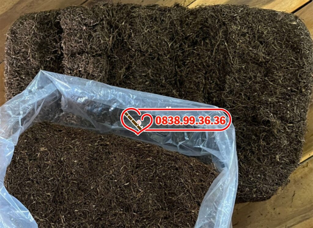 Thuốc lào Đà Lạt – Trải nghiệm hương vị thuốc lào trong không khí phố núi