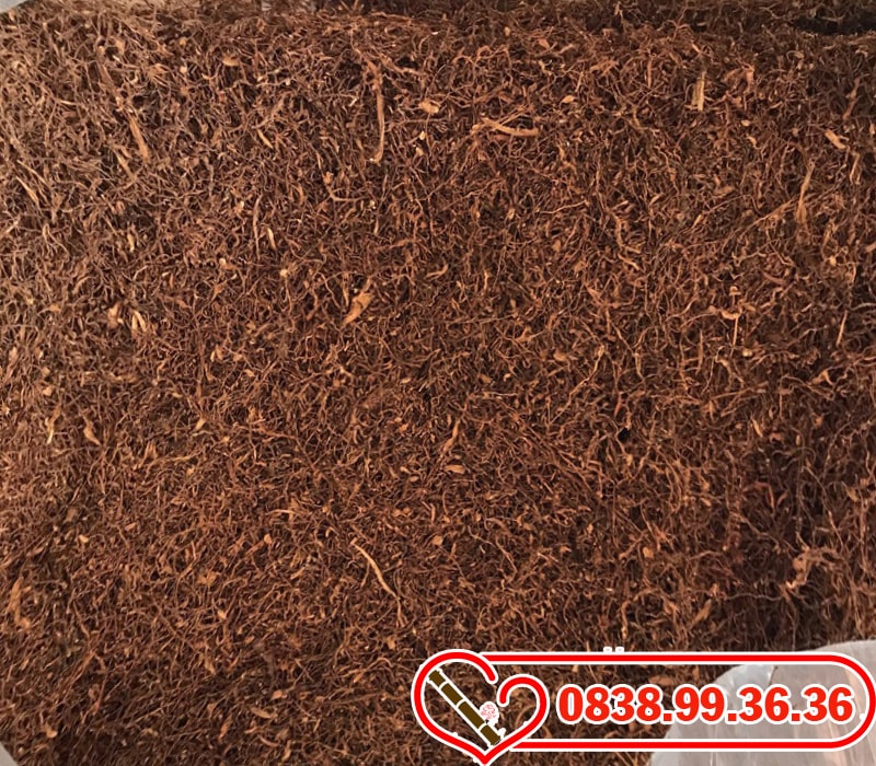 Thuốc lào ngon Đà Lạt