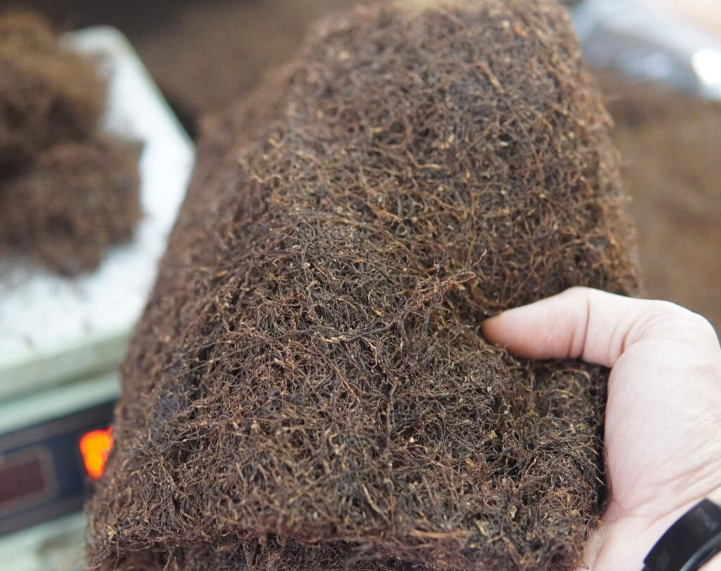 Thuốc lào Đà Lạt – Trải nghiệm hương vị thuốc lào trong không khí phố núi