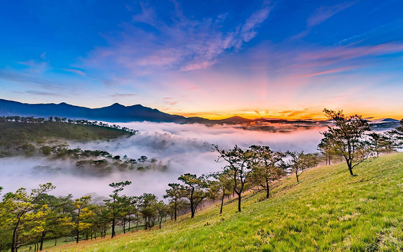Thuốc Lào Thanh Hóa Tại Tây Nguyên
