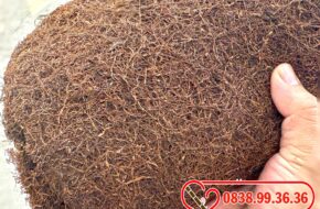 Mua thuốc lào xịn ở đâu