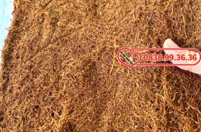 Cách bảo quản thuốc lào giữ hương thơm lâu