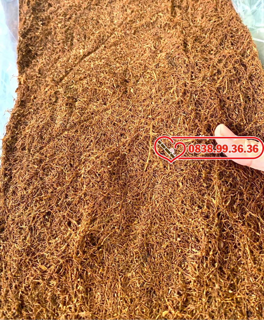 Thuốc lào ngon Đà Lạt