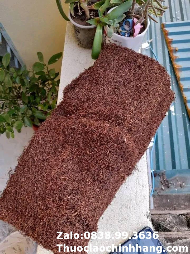 Thuốc lào ngon Hà Nội – Nét văn hóa đặc trưng Thủ đô